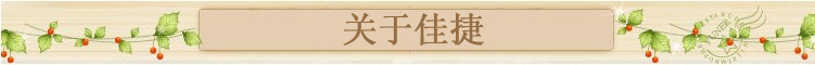 關(guān)于佳捷 關(guān)于佳捷